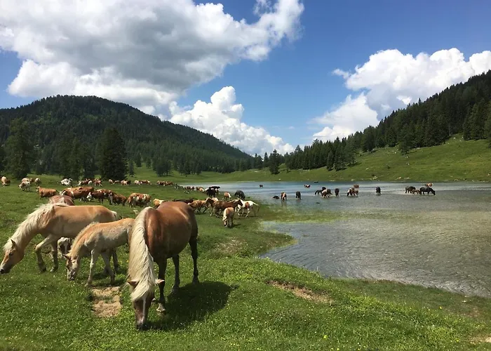 Apartmán Kloosterstube